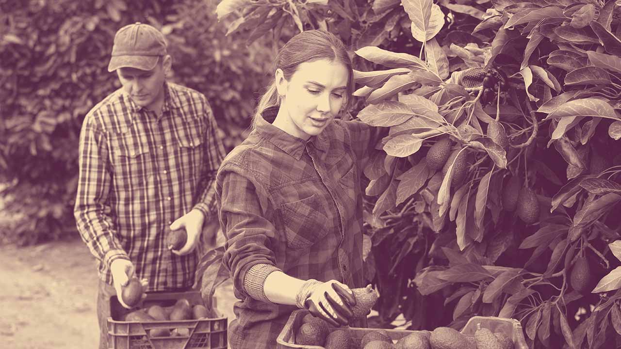 Immigration Services for Agriculture & Food Production